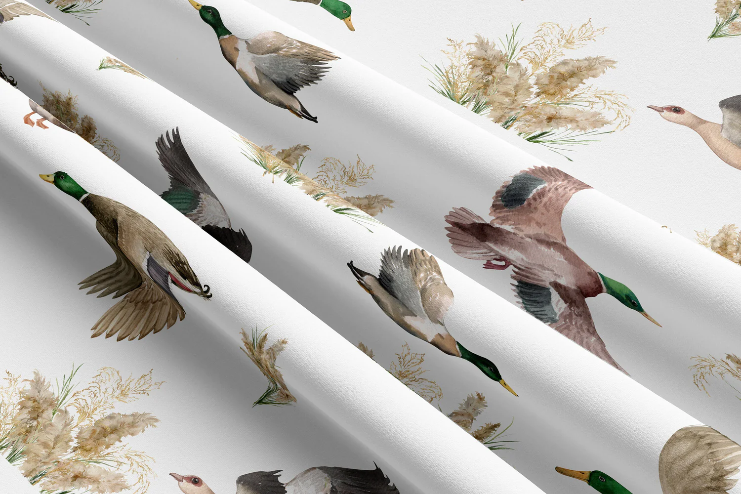 Welcome to Our Store